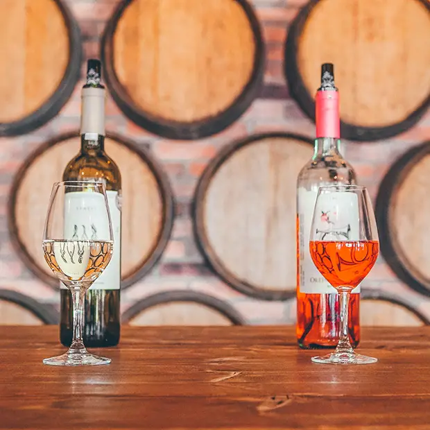 Wine Tasting in Nemea